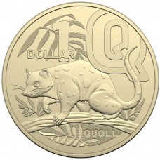 2022 $1 The Great Aussie Coin Hunt - 'Q' Quoll Uncirculated